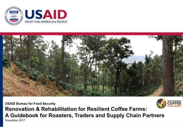 Renovation & rehabilitation for resilient coffee farms : a guidebook for roasters, traders and supply chain partners