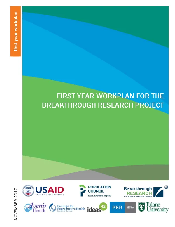 First year workplan for the breakthrough research project