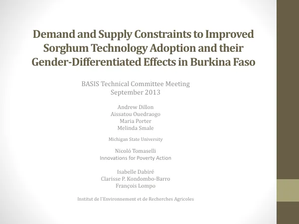 Demand and supply constraints to improved sorghum technology adoption and their gender-differentiated effects in Burkina Faso (BASIS technical committee meeting)
