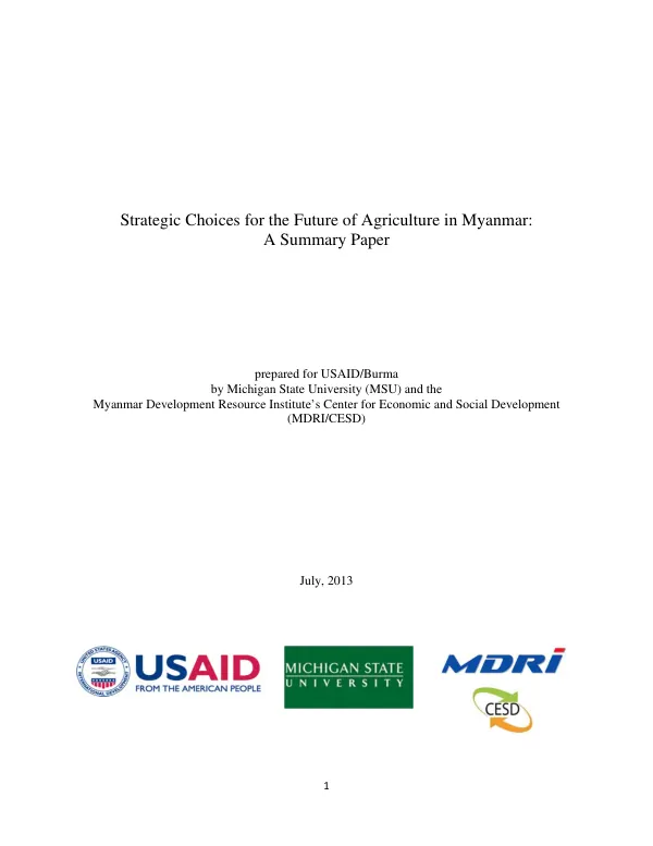 Strategic choices for the future of agriculture in Myanmar : a summary paper