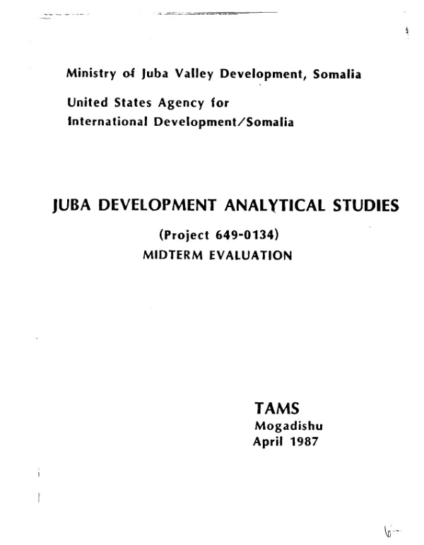 Juba development analytical studies (project 649-0134) : midterm evaluation
