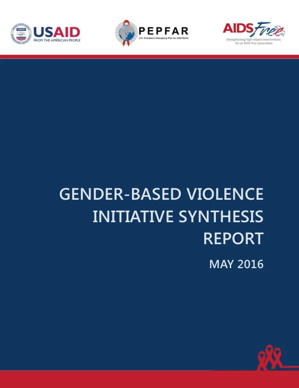 Gender-based violence initiative synthesis report