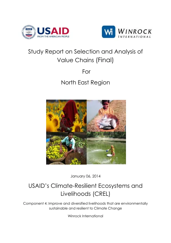 Study Report on Selection and Analysis of Value Chains for Northeast Region